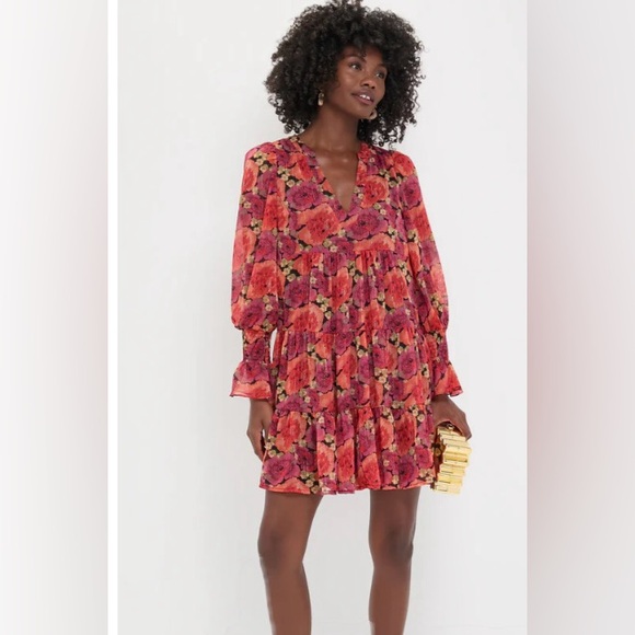 TUCKERNUCK + POMANDER PLACE Rose Chiffon Kenzo Dress | Large | NWT - Picture 2 of 12